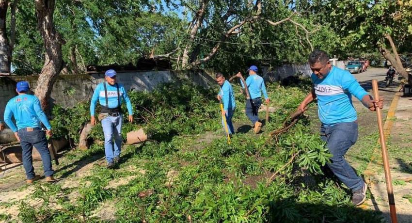 Presidente Jorge Sánchez supervisa trabajos de limpieza tras el paso de huracán Rick