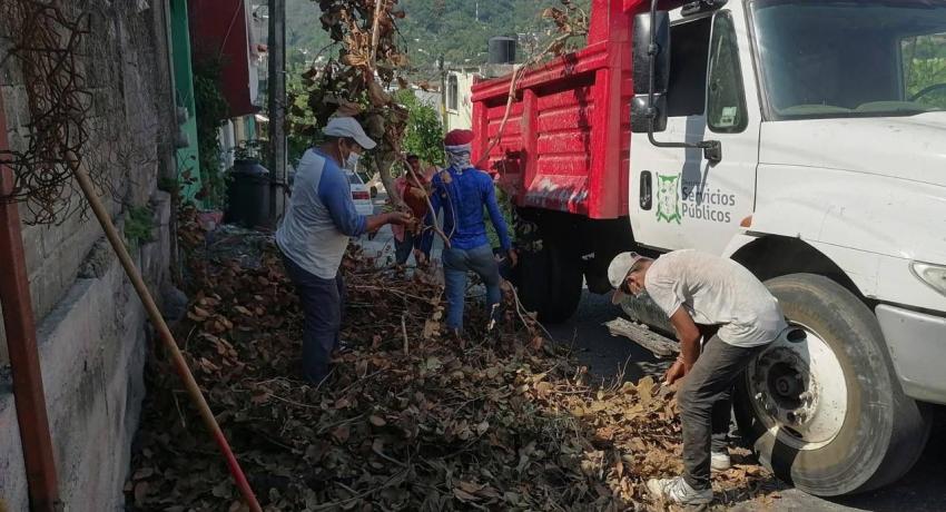 Servicios Públicos retira 257 toneladas de residuos con apoyo del personal del Programa Empleo Temporal.