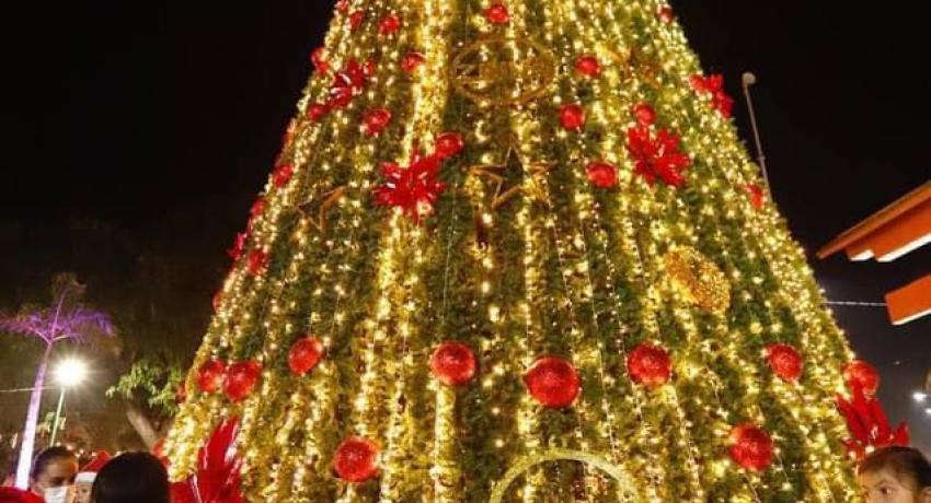 Encienden árbol navideño en Zihuatanejo 