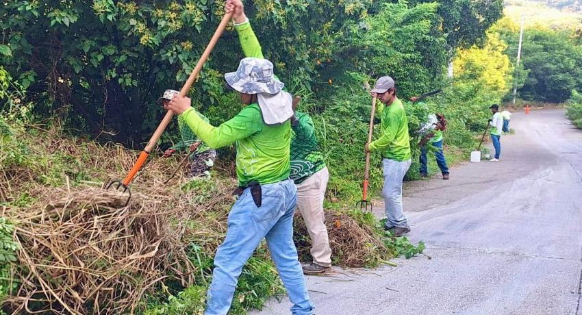 Servicios Públicos del Municipio refuerza acciones para mejorar las vialidades mediante labores de poda y chapona en camellones