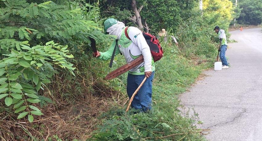 Servicios Públicos del Municipio refuerza acciones para mejorar las vialidades mediante labores de poda y chapona en camellones
