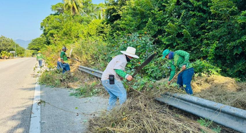 Servicios Públicos del Municipio refuerza acciones para mejorar las vialidades mediante labores de poda y chapona en camellones