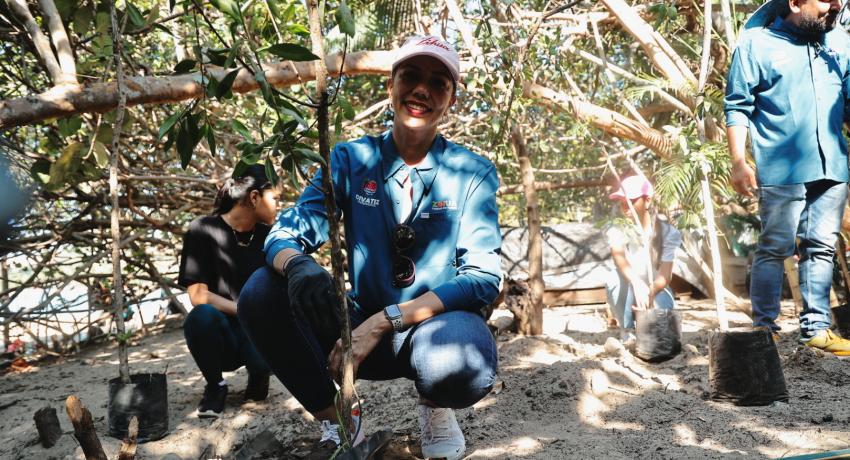 Gobierno de Zihuatanejo realiza campaña de reforestación en Playa Quieta