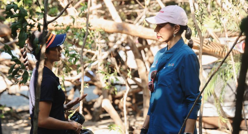 Gobierno de Zihuatanejo realiza campaña de reforestación en Playa Quieta