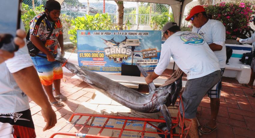 Muestra Zihuatanejo la diversidad de sus atractivos turísticos 