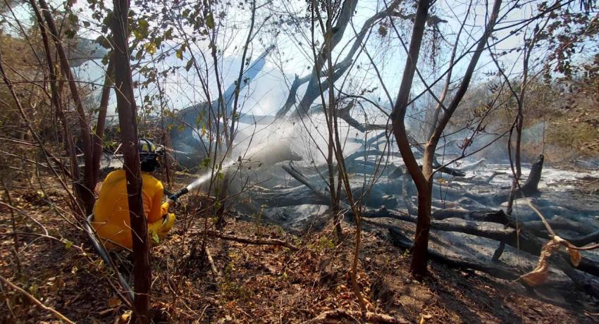 Personal de Protección Civil y Bomberos del Municipio atiende y sofoca incendios forestales.