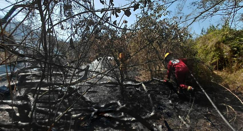 Personal de Protección Civil y Bomberos del Municipio atiende y sofoca incendios forestales.