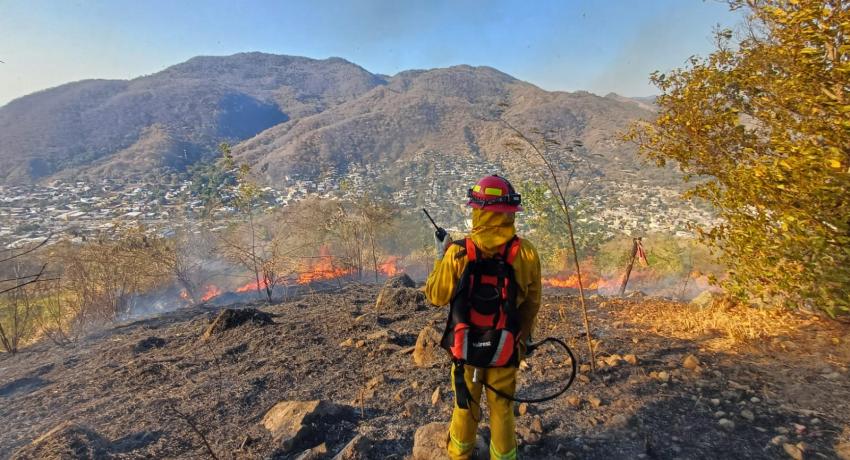 Gobierno de Zihuatanejo atiende incendio de pastizal registrado la zona alta de su cabecera municipal 
