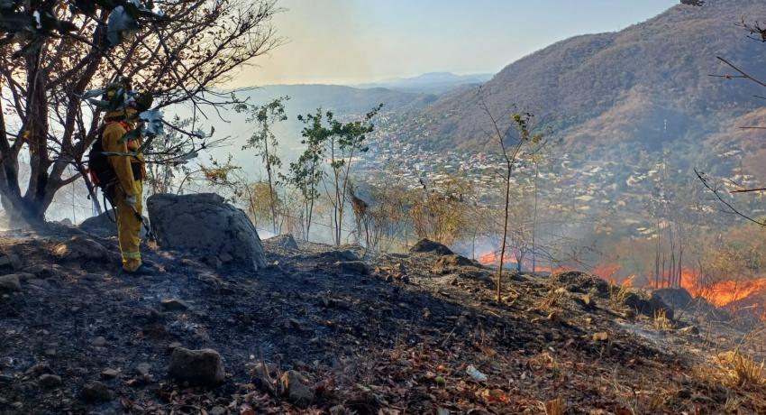 Gobierno de Zihuatanejo atiende incendio de pastizal registrado la zona alta de su cabecera municipal 