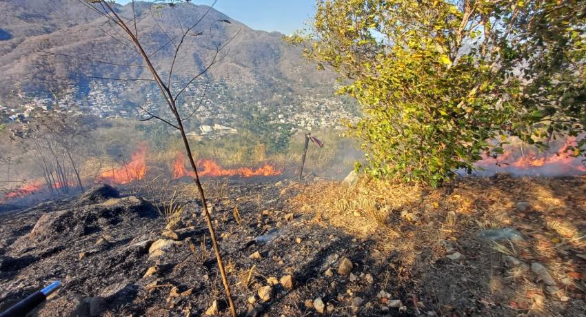 Gobierno de Zihuatanejo atiende incendio de pastizal registrado la zona alta de su cabecera municipal 