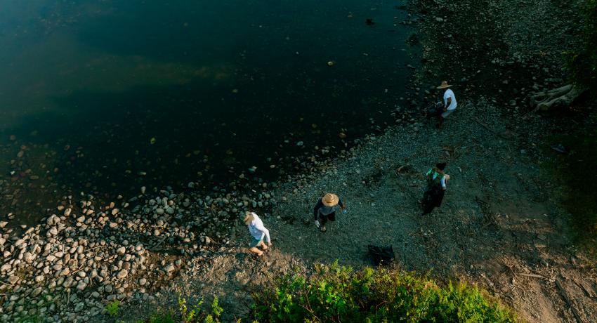 Se protege la biodiversidad del estero en la Barra de San José Ixtapa