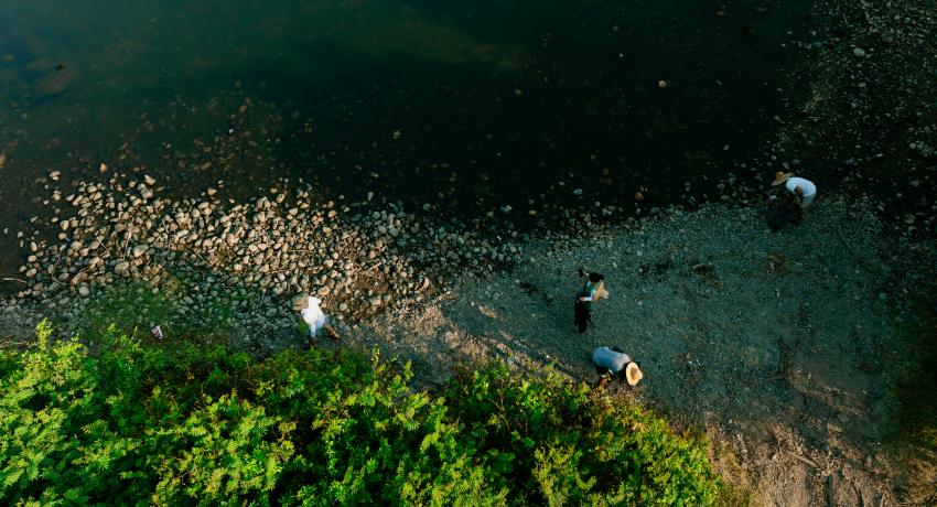 Se protege la biodiversidad del estero en la Barra de San José Ixtapa