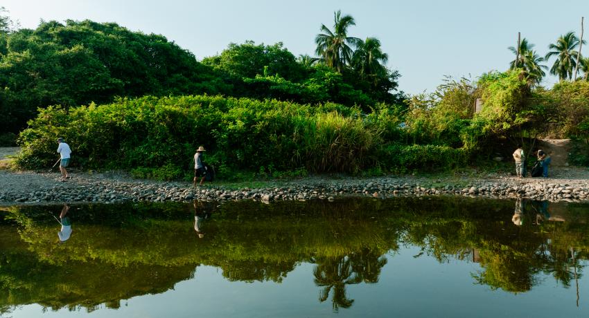 Se protege la biodiversidad del estero en la Barra de San José Ixtapa