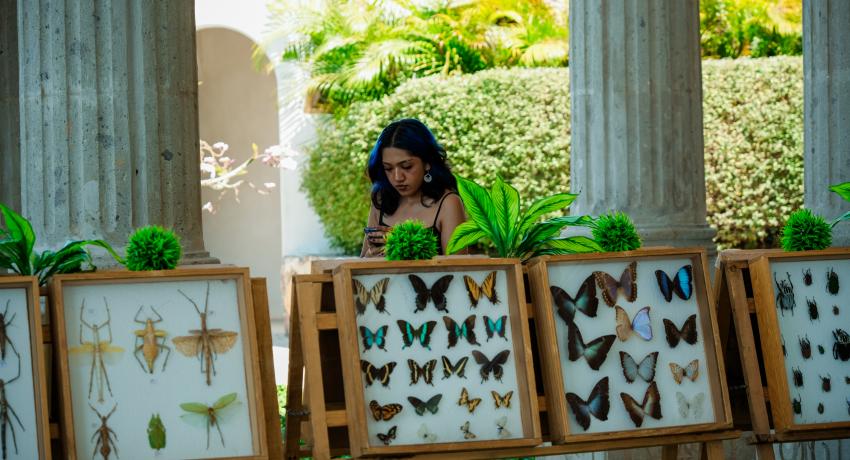 Exposición de insectos y reptiles apoyada por Gobierno de Zihuatanejo atrae a un alto número de turistas