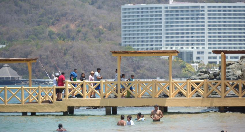Gobierno de Zihuatanejo cuida el ecosistema de nuestro destino de playa