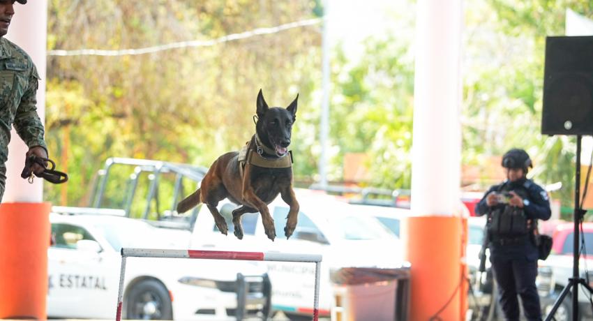 Programa del gobierno de Zihuatanejo “Un Día con el Policía” atrae a estudiantes de secundaria y medio superior