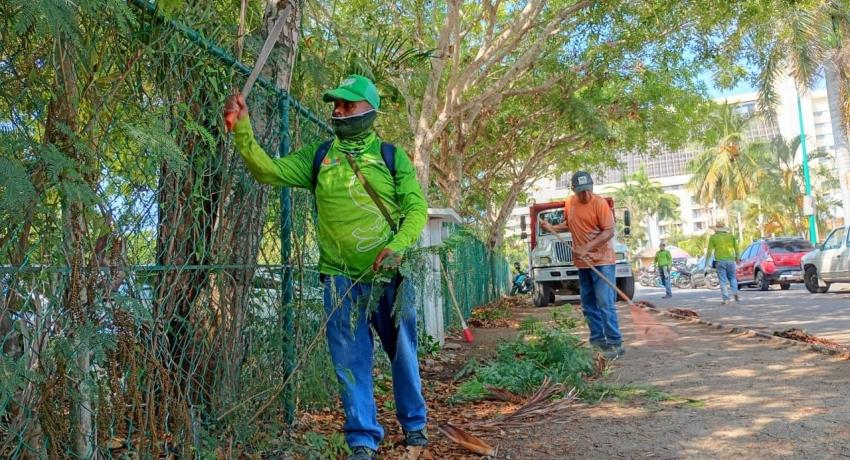 Dirección de Servicios Públicos realiza trabajos de limpieza y mantenimiento en la zona hotelera de Ixtapa