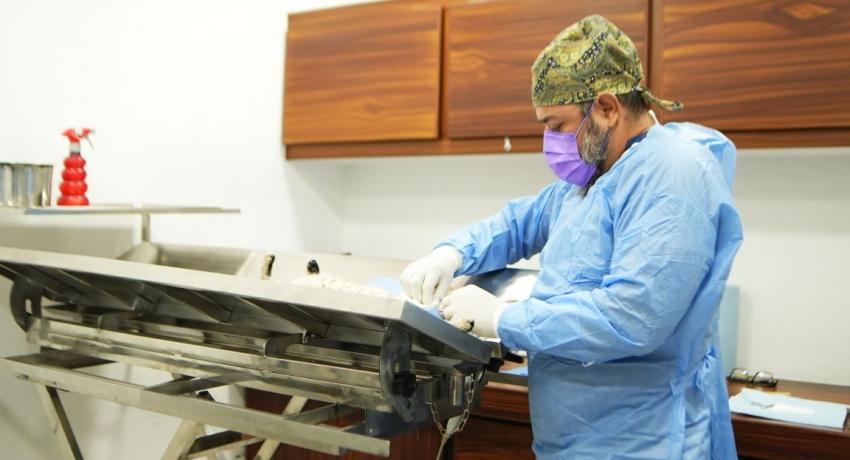 Centro de Bienestar Animal fortalece acciones permanentes para el cuidado y protección de mascotas