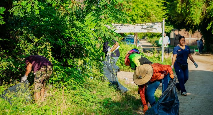 Salud Municipal complementa acciones para la erradicación del mosquito Aedes aegypti