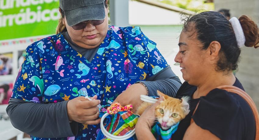 Continúa con éxito la campaña de vacunación antirrábica en Zihuatanejo