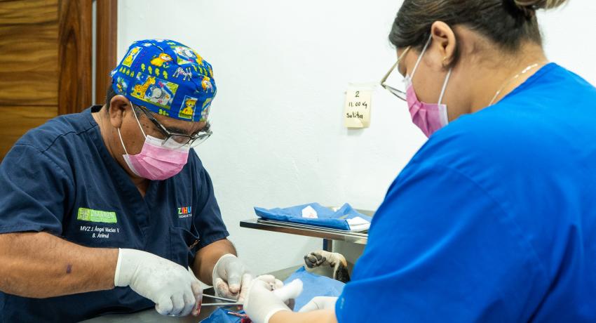 Cumple con su cometido el Centro de Bienestar Animal y Vida Silvestre del municipio