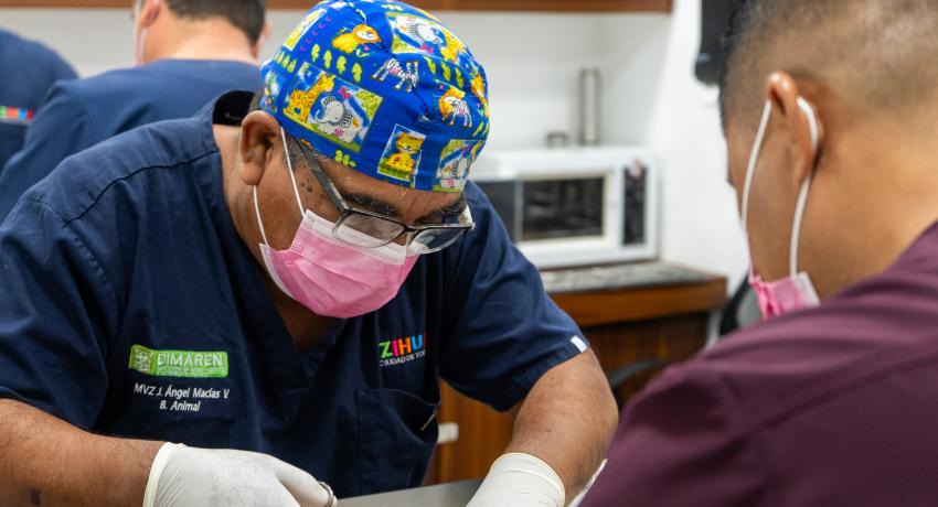 Cumple con su cometido el Centro de Bienestar Animal y Vida Silvestre del municipio