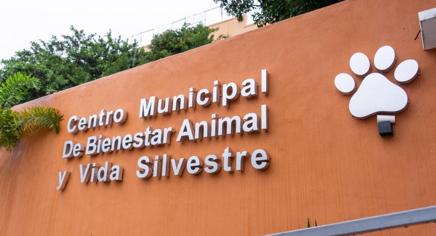Cumple con su cometido el Centro de Bienestar Animal y Vida Silvestre del municipio