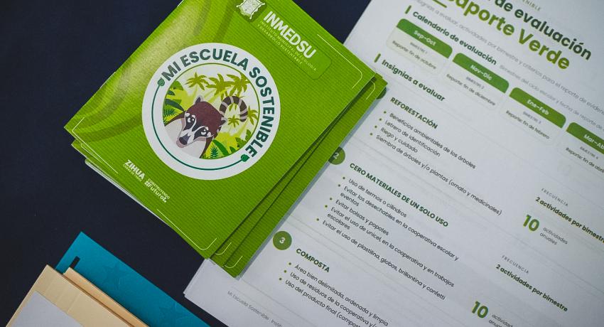 Gobierno de Zihuatanejo premia a escuelas por su participación en la protección de la tortuga marina