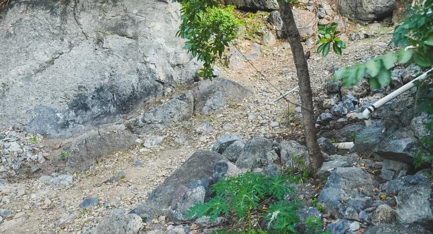 Gobierno Municipal inicia construcción del andador Moctezuma en la colonia 12 de Marzo