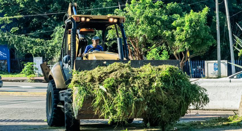 Servicios Públicos realiza limpieza de camellones cubiertos por vegetación.