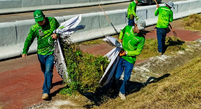 Servicios Públicos realiza limpieza de camellones cubiertos por vegetación.